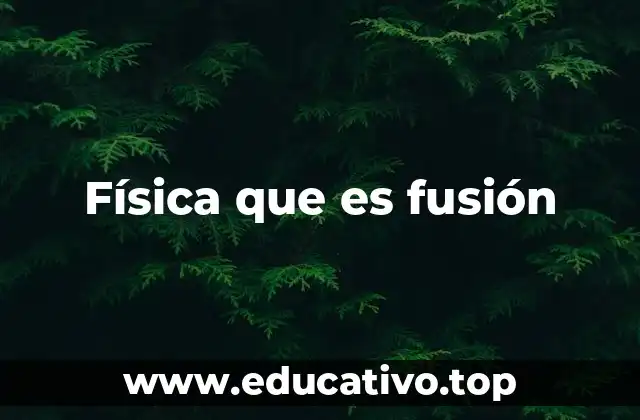 Física que es fusión