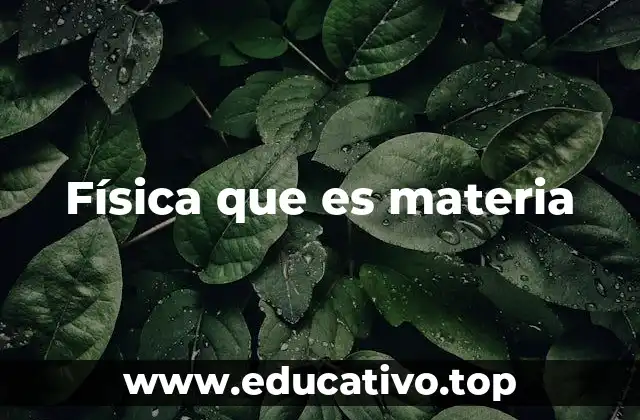 Física que es materia