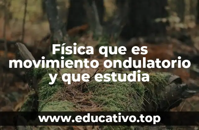 Física que es movimiento ondulatorio y que estudia
