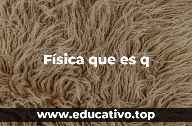 Física que es q