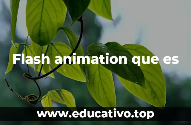 La evolución de las animaciones digitales antes y después de Flash