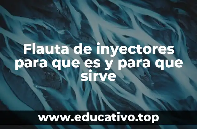 El papel de la flauta en el sistema de inyección