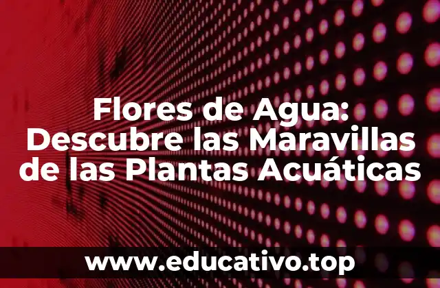 Flores de Agua: Descubre las Maravillas de las Plantas Acuáticas