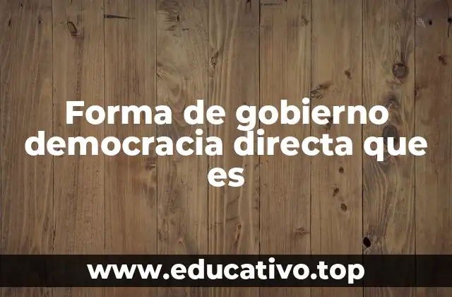 Forma de gobierno democracia directa que es