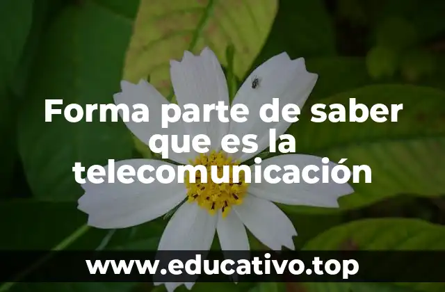 Forma parte de saber que es la telecomunicación