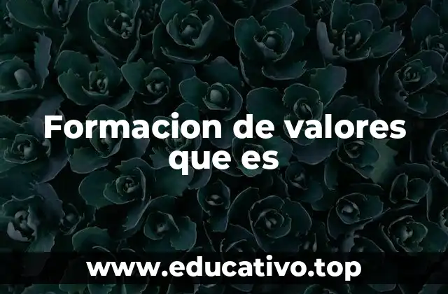 Formacion de valores que es