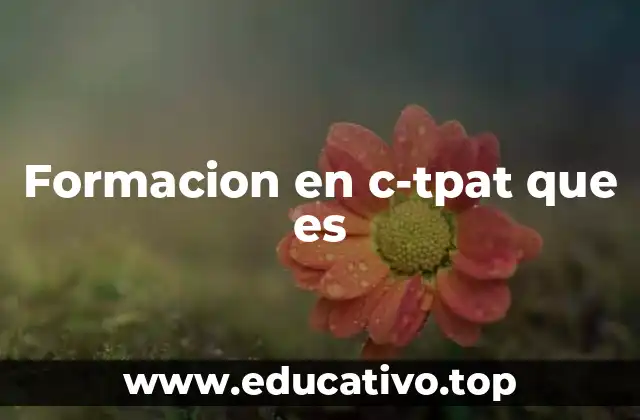 Formacion en c-tpat que es