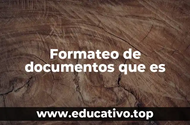 Formateo de documentos que es