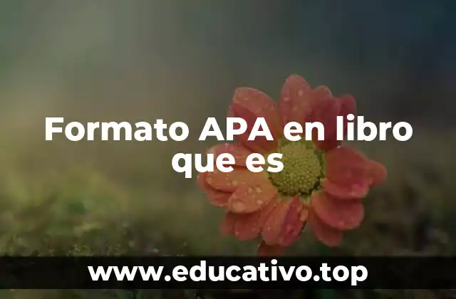 Formato APA en libro que es