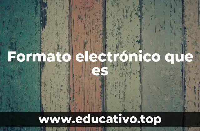 Formato electrónico que es