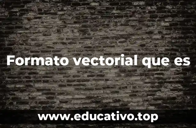 Formato vectorial que es