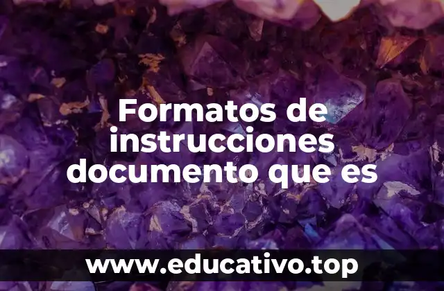 Formatos de instrucciones documento que es