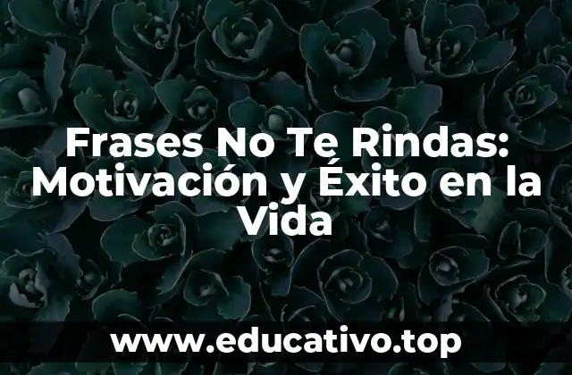 Frases No Te Rindas: Motivación y Éxito en la Vida