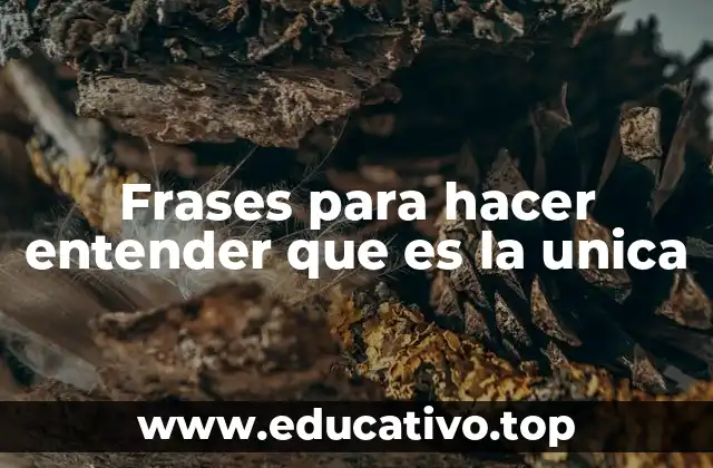 Frases para hacer entender que es la unica