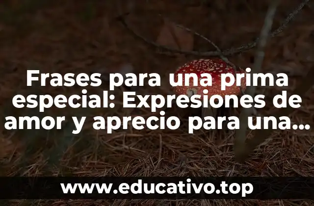 Frases para una prima especial: Expresiones de amor y aprecio para una relación única