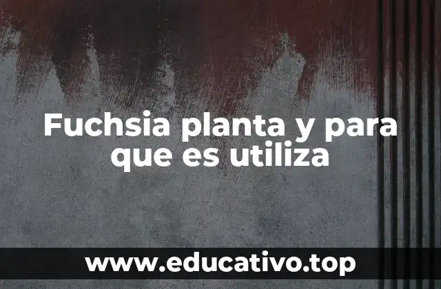 Características y tipos de fuchsia más comunes