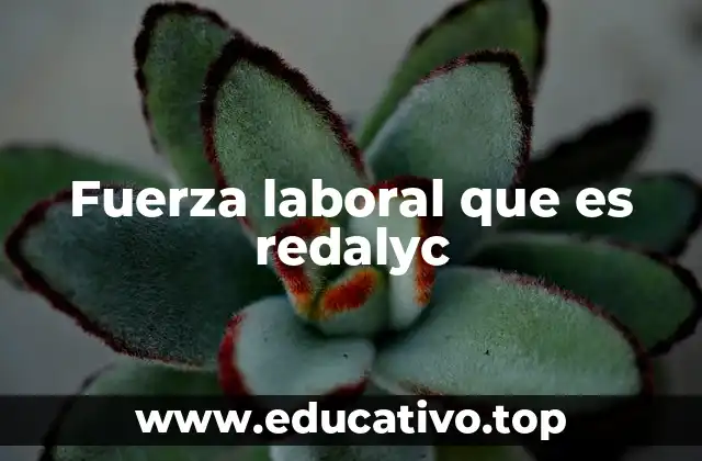 Fuerza laboral que es redalyc