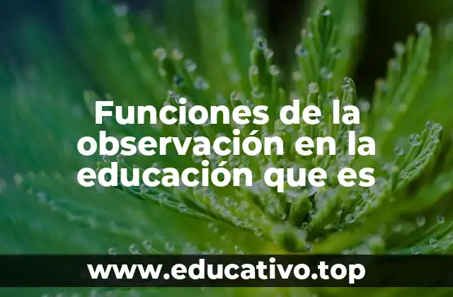 Funciones de la observación en la educación que es