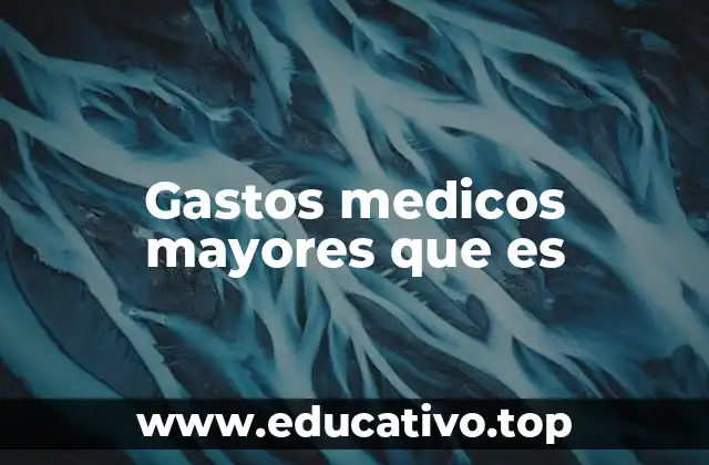 Gastos medicos mayores que es