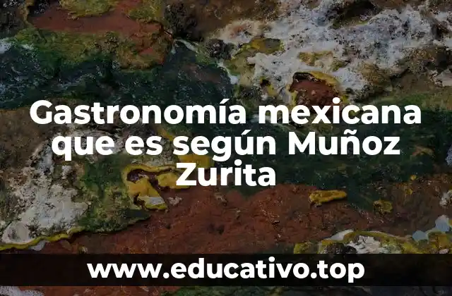 Gastronomía mexicana que es según Muñoz Zurita
