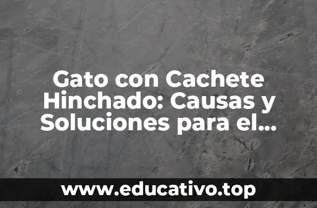 Gato con Cachete Hinchado: Causas y Soluciones para el Problema Feline