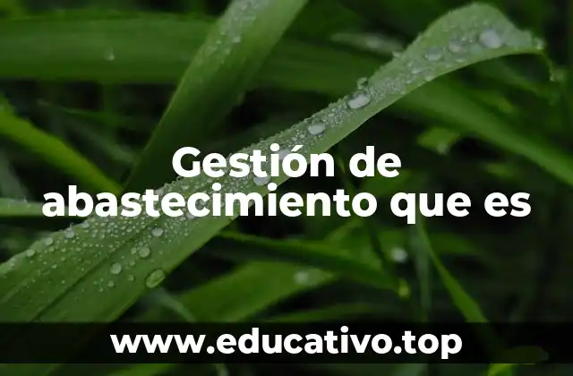 Gestión de abastecimiento que es