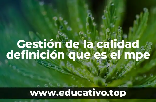 Cómo la gestión de la calidad transforma la cultura empresarial