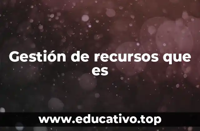 Gestión de recursos que es
