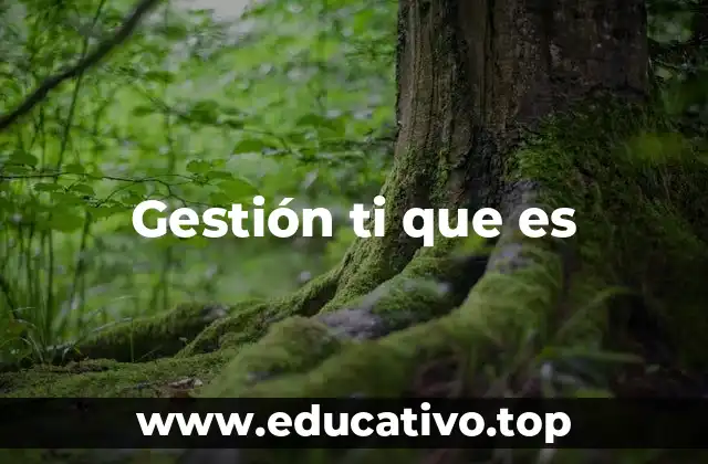 Gestión ti que es