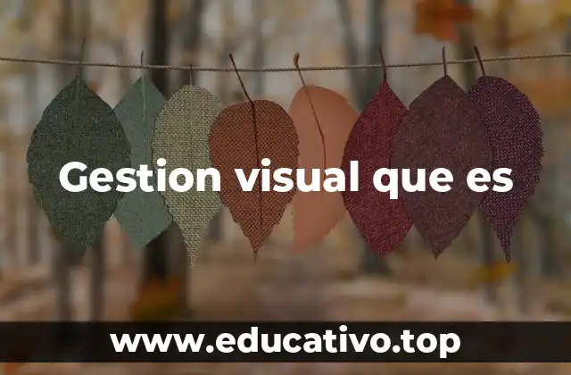 Gestion visual que es