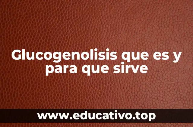 Glucogenolisis que es y para que sirve