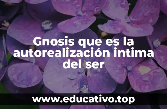 Gnosis que es la autorealización intima del ser