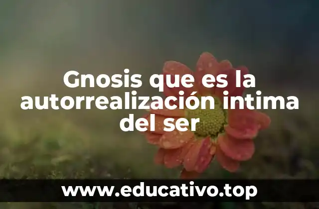 El viaje interior: ¿cómo se manifiesta la gnosis en la vida cotidiana?