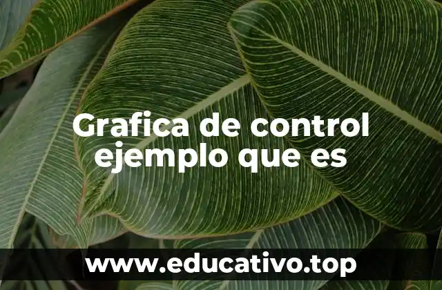 La importancia de visualizar la estabilidad de un proceso