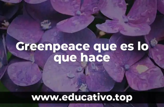 Greenpeace que es lo que hace