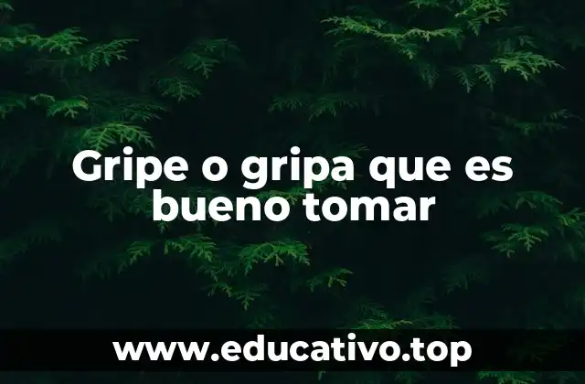 Gripe o gripa que es bueno tomar