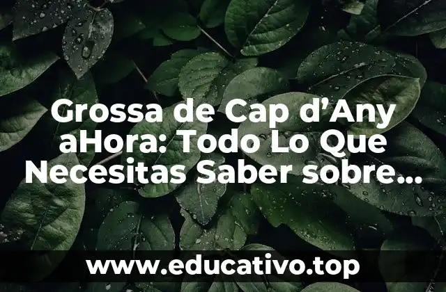 Grossa de Cap d’Any aHora: Todo Lo Que Necesitas Saber sobre esta Tradición Catalana