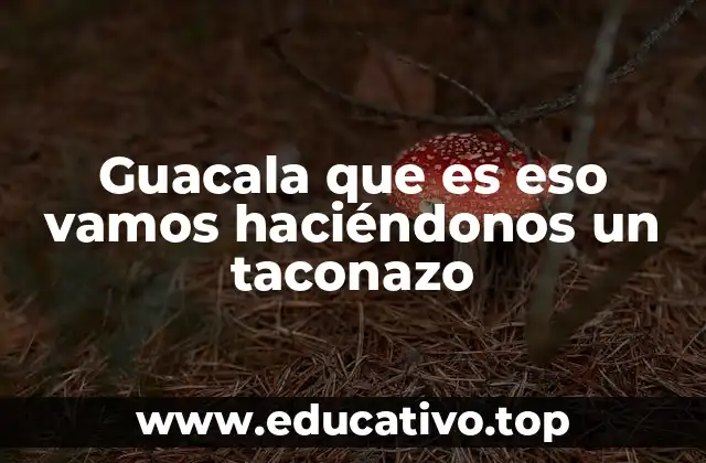 Guacala que es eso vamos haciéndonos un taconazo
