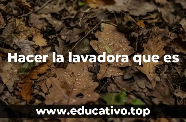 Hacer la lavadora que es