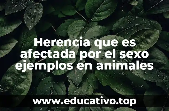 Herencia que es afectada por el sexo ejemplos en animales