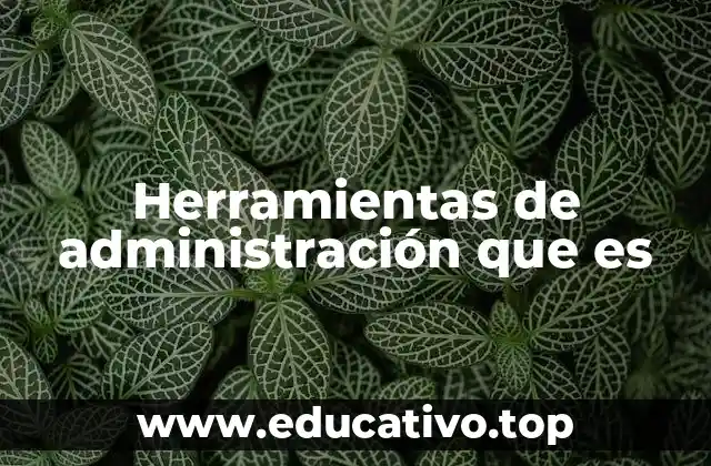 Herramientas de administración que es