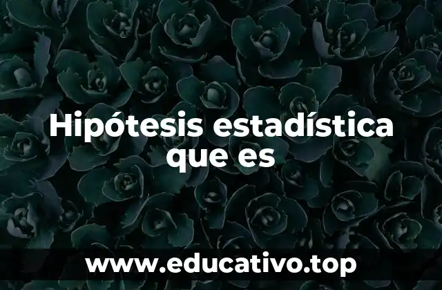 Hipótesis estadística que es