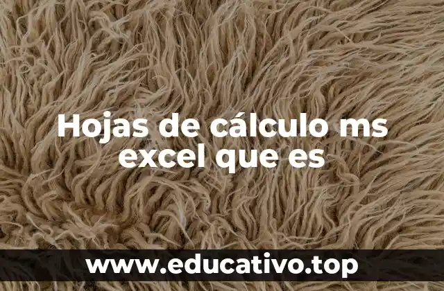 Hojas de cálculo ms excel que es