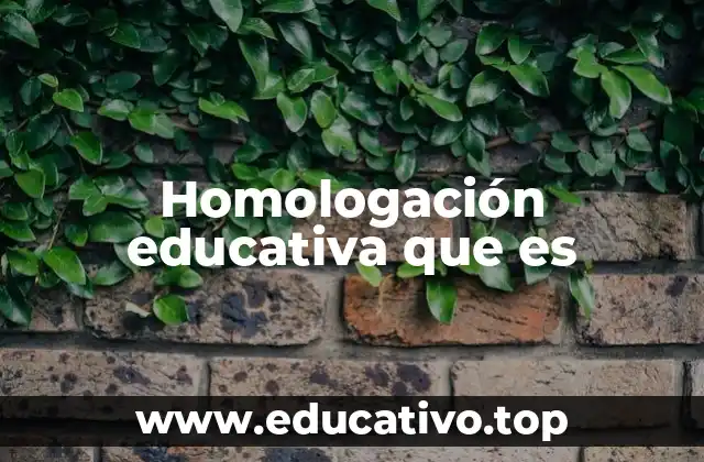 Homologación educativa que es