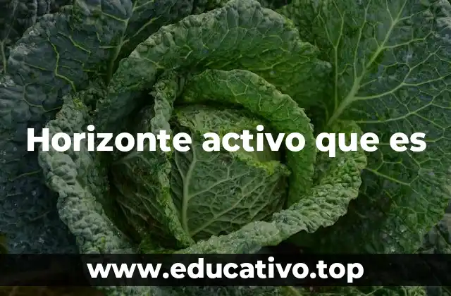 Horizonte activo que es