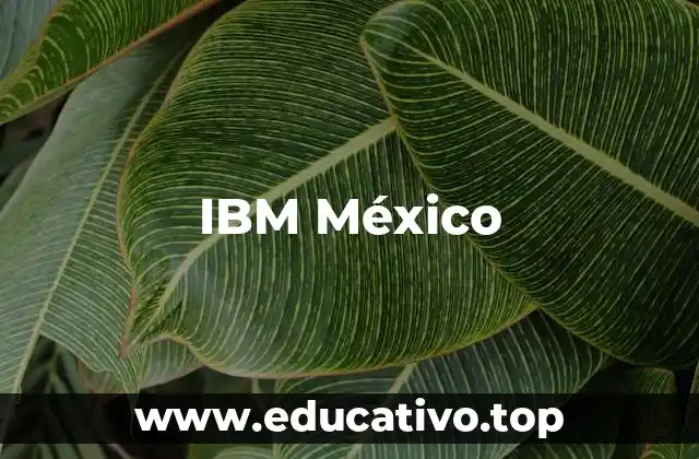 IBM México