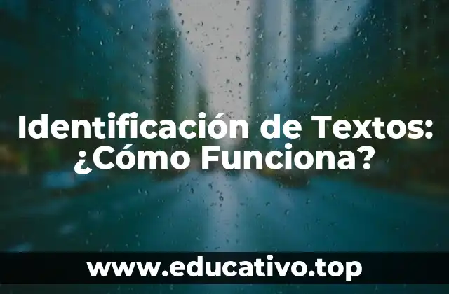 Identificación de Textos: ¿Cómo Funciona?