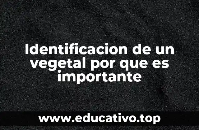 Identificacion de un vegetal por que es importante