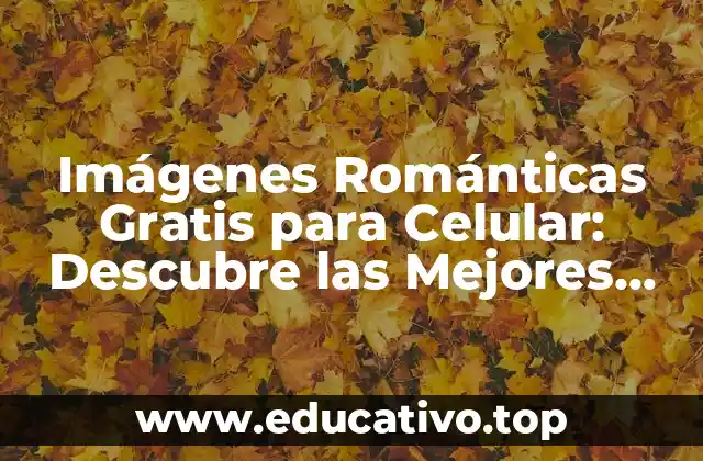 ¿Por qué las Imágenes Románticas son Importantes en la Era Digital?