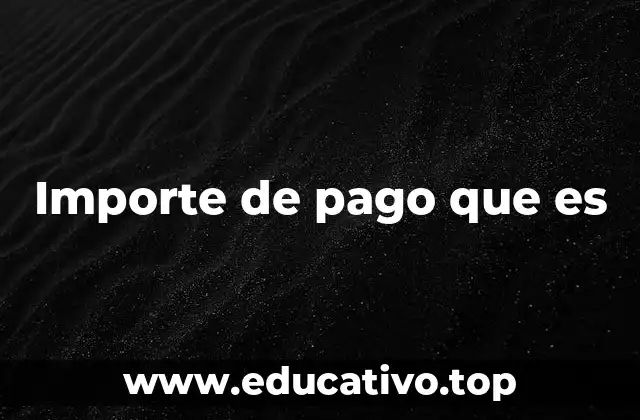 Importe de pago que es